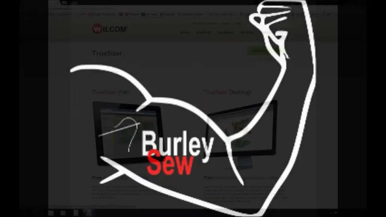 Wilcom TrueSizer Tutorial: Convert, Preview, and Quality-Check Embroid ...