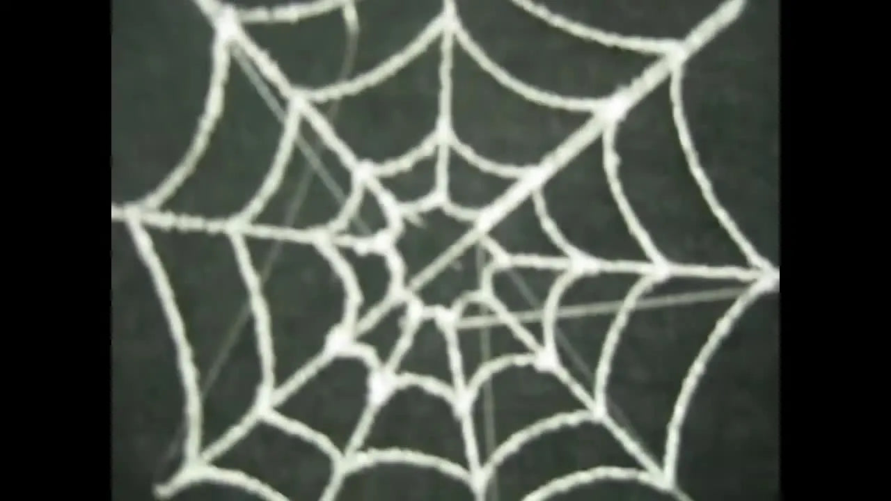 A finished bright white spider web embroidery sits perfectly centered on black fabric inside a 4x4 hoop.