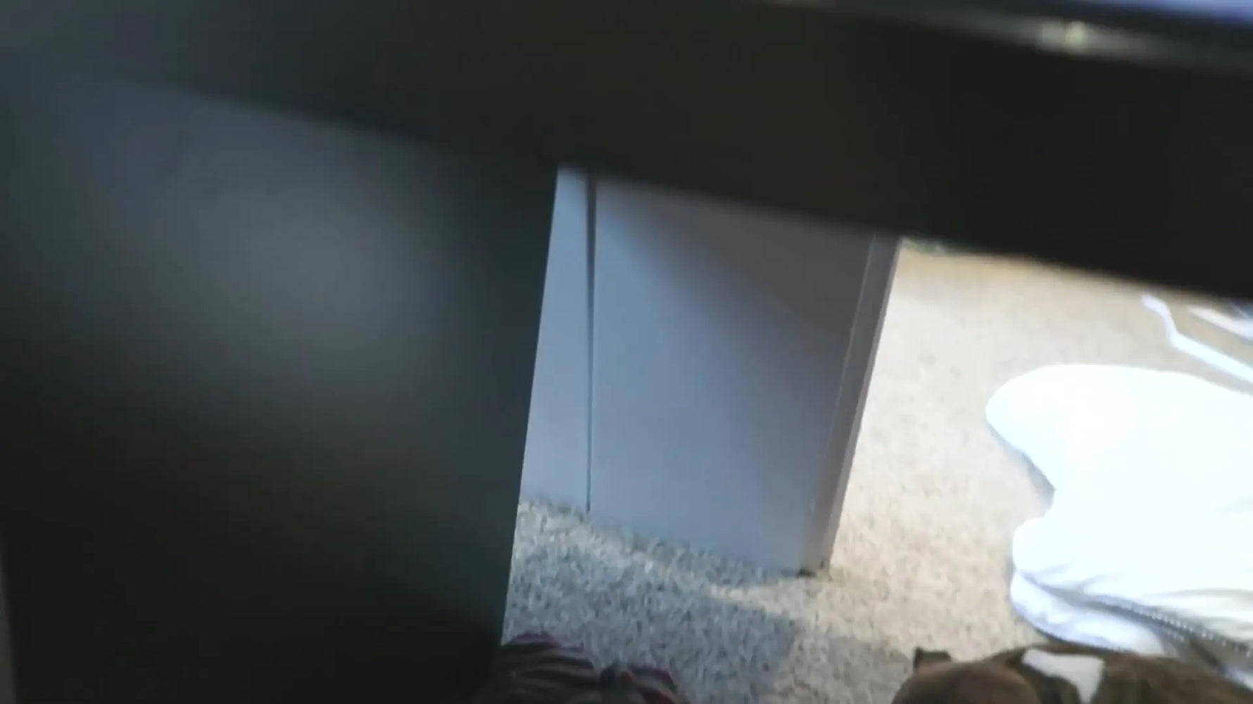 Woman talking directly to camera