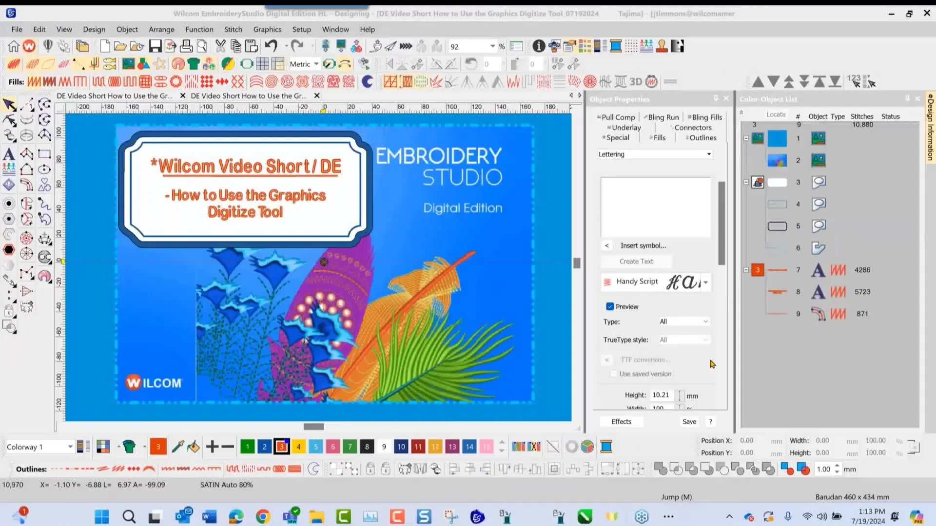 Mastering Graphics Digitizing in Wilcom Embroidery Studio Digital Edit ...