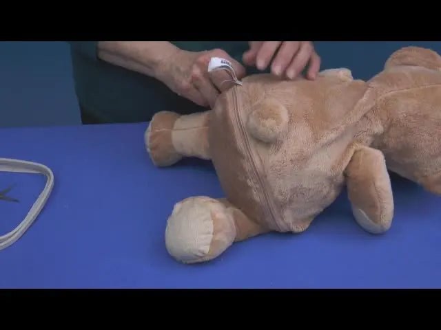 Personalize Your Plush: A Guide to Embroider Buddy Embroidery