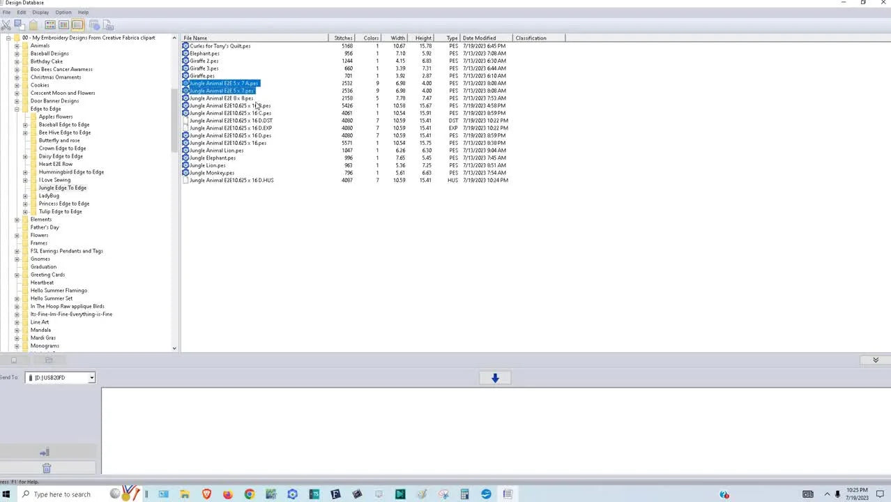 Multiple embroidery files selected for batch conversion
